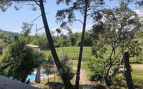 Chez Franck